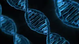 Ταυτοποίηση DNA και Εξιχνίαση Υποθέσεων