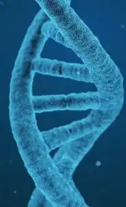 DNA identification and case detection